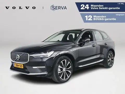 Used VOLVO XC60 Hybrid 2023 Ad 