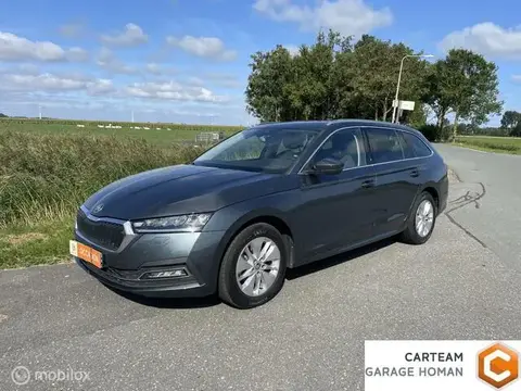 Used SKODA OCTAVIA Petrol 2021 Ad 