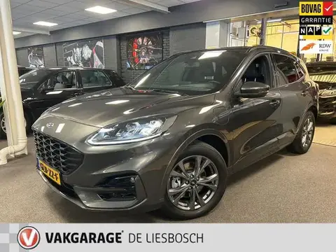 Used FORD KUGA Hybrid 2020 Ad 