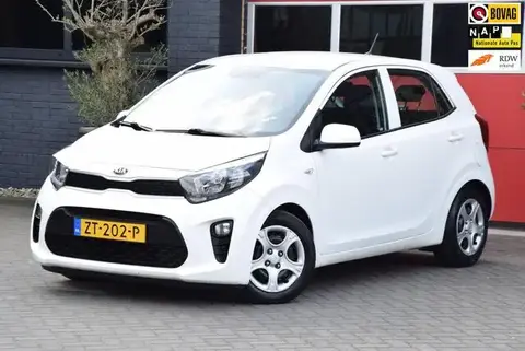 Used KIA PICANTO Petrol 2019 Ad 