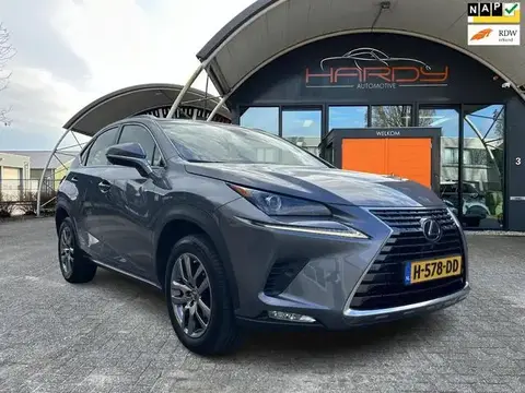 Used LEXUS NX Hybrid 2020 Ad 