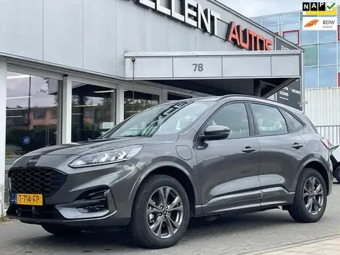 Annonce FORD KUGA Hybride 2023 d'occasion 