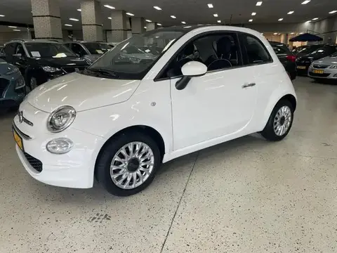 Used FIAT 500 Petrol 2019 Ad 