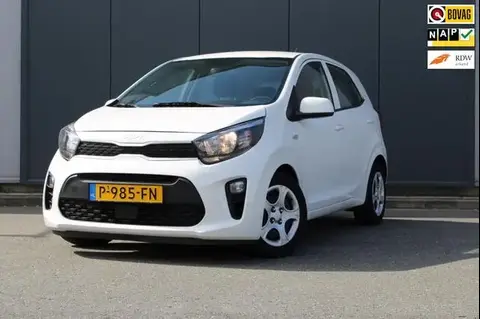 Annonce KIA PICANTO Essence 2022 d'occasion 