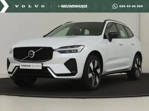 Used VOLVO XC60 Hybrid 2023 Ad 