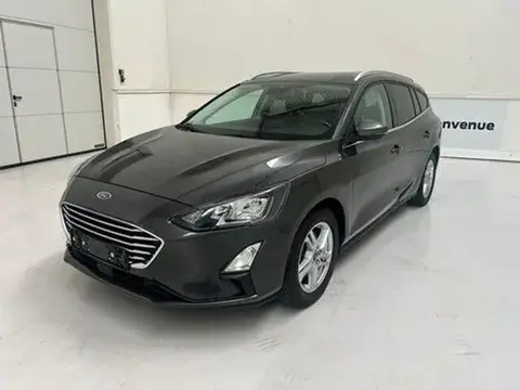 Used FORD FOCUS Petrol 2021 Ad 