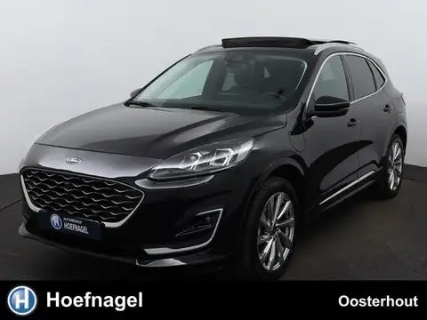 Annonce FORD KUGA Hybride 2023 d'occasion 