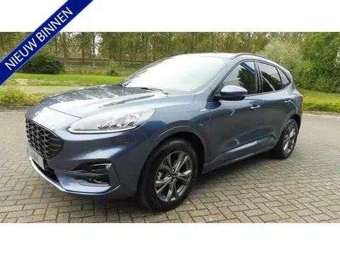 Used FORD KUGA Petrol 2020 Ad 