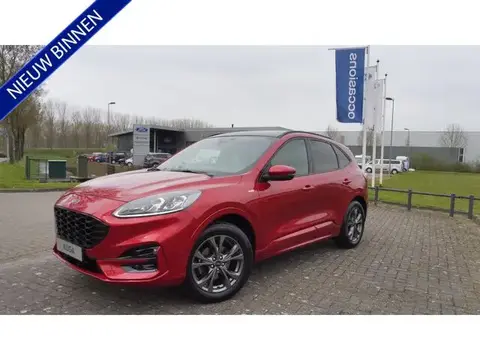 Annonce FORD KUGA Essence 2020 d'occasion 