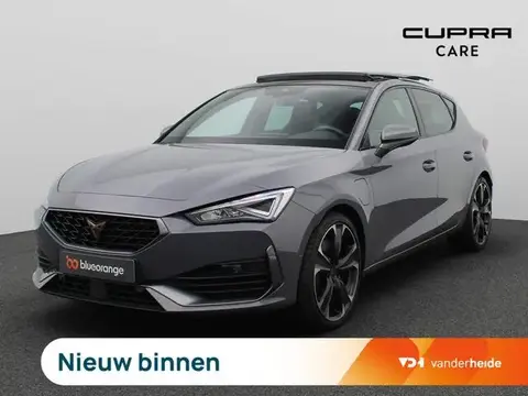 Annonce CUPRA LEON Hybride 2022 d'occasion 