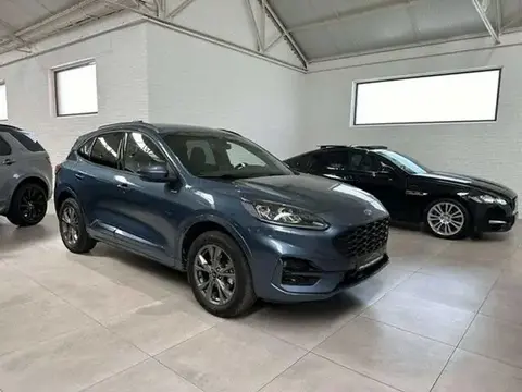 Used FORD KUGA Not specified 2023 Ad 