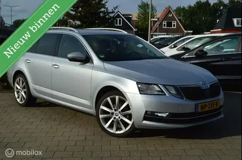 Annonce SKODA OCTAVIA Diesel 2017 d'occasion 