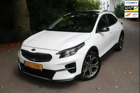 Used KIA XCEED Petrol 2019 Ad 