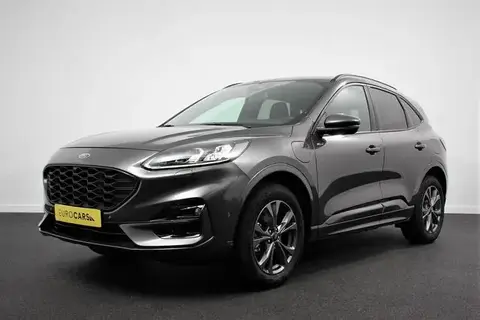 Used FORD KUGA Hybrid 2022 Ad 