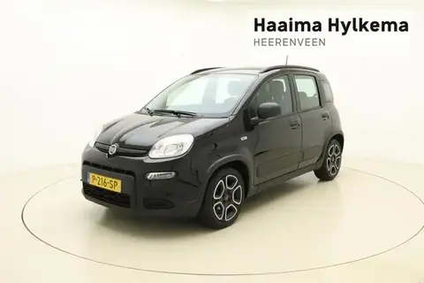 Used FIAT PANDA Hybrid 2022 Ad 