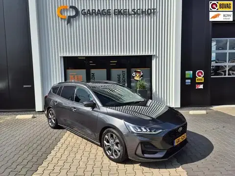 Annonce FORD FOCUS Hybride 2023 d'occasion 