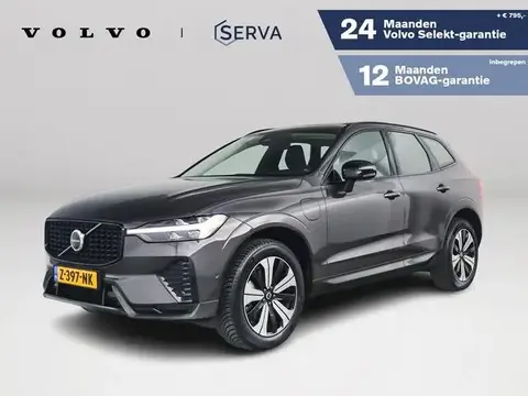 Used VOLVO XC60 Hybrid 2024 Ad 