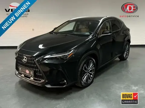 Annonce LEXUS NX Hybride 2023 d'occasion 