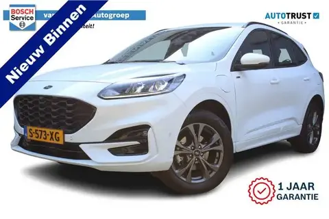 Used FORD KUGA Hybrid 2023 Ad 