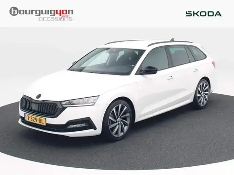 Annonce SKODA OCTAVIA Essence 2023 d'occasion 