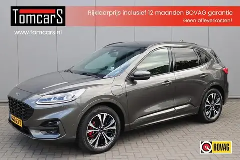 Used FORD KUGA Hybrid 2020 Ad 