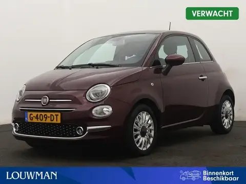 Used FIAT 500 Petrol 2019 Ad 