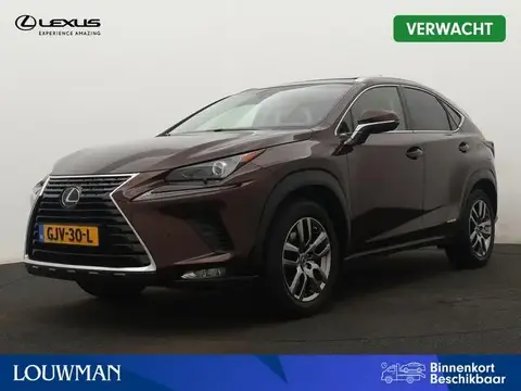 Annonce LEXUS NX Hybride 2019 d'occasion 