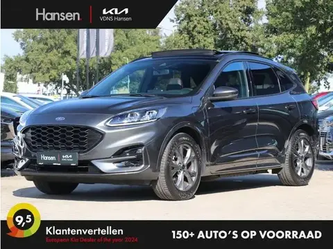 Annonce FORD KUGA Hybride 2020 d'occasion 