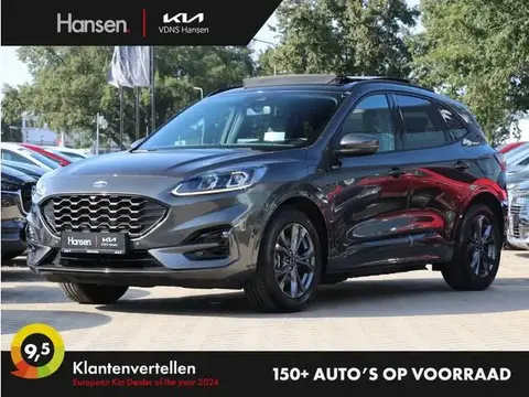 Used FORD KUGA Hybrid 2020 Ad 