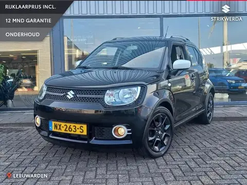 Used SUZUKI IGNIS Petrol 2017 Ad 