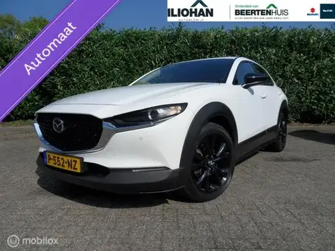 Used MAZDA CX-30 Petrol 2022 Ad 