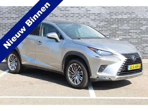 Used LEXUS NX Hybrid 2021 Ad 