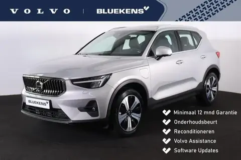 Used VOLVO XC40 Hybrid 2023 Ad 