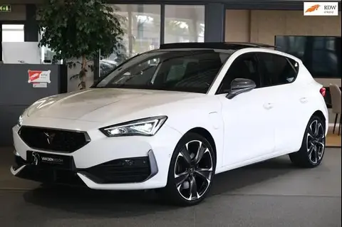 Annonce CUPRA LEON Hybride 2021 d'occasion 