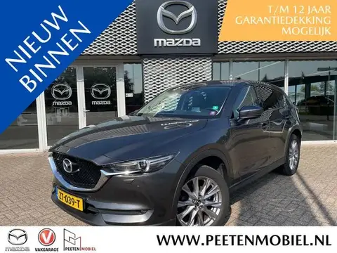 Used MAZDA CX-5 Petrol 2019 Ad 