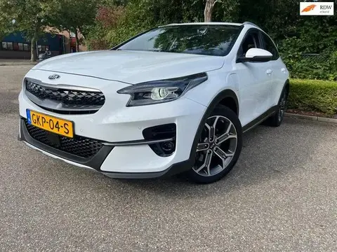 Annonce KIA XCEED Hybride 2021 d'occasion 