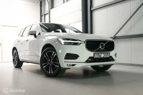 Annonce VOLVO XC60 Essence 2020 d'occasion 