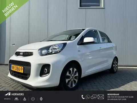 Used KIA PICANTO Petrol 2017 Ad 