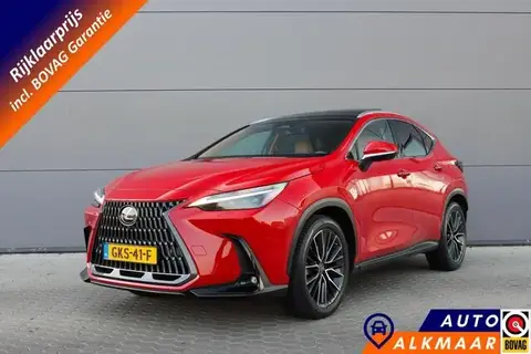 Annonce LEXUS NX Hybride 2022 d'occasion 