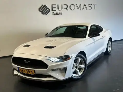 Annonce FORD MUSTANG Essence 2019 d'occasion 