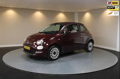 Annonce FIAT 500 Hybride 2020 d'occasion 