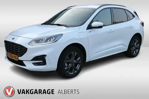 Annonce FORD KUGA Hybride 2023 d'occasion 