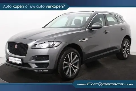 Used JAGUAR F-PACE Petrol 2019 Ad 