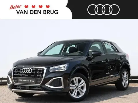 Annonce AUDI Q2 Essence 2024 d'occasion 