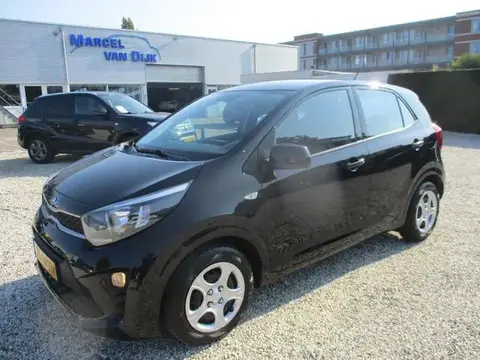 Used KIA PICANTO Petrol 2019 Ad 