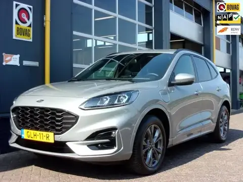 Annonce FORD KUGA Hybride 2022 d'occasion 