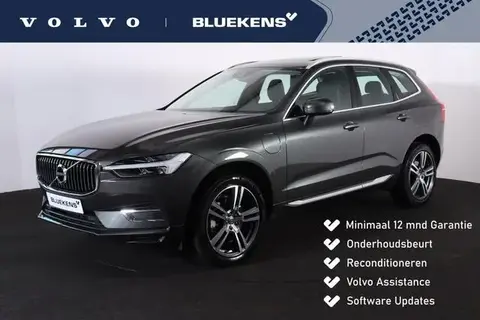 Used VOLVO XC60 Hybrid 2021 Ad 