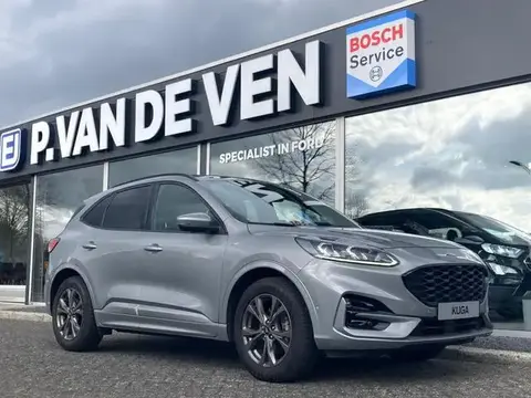 Used FORD KUGA Hybrid 2022 Ad 