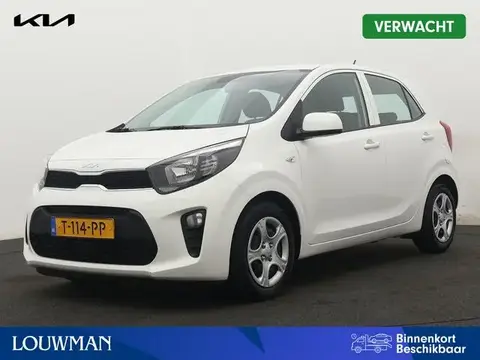 Used KIA PICANTO Petrol 2023 Ad 