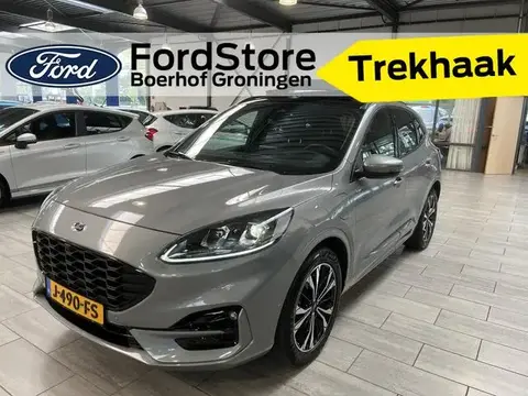 Used FORD KUGA Hybrid 2020 Ad 